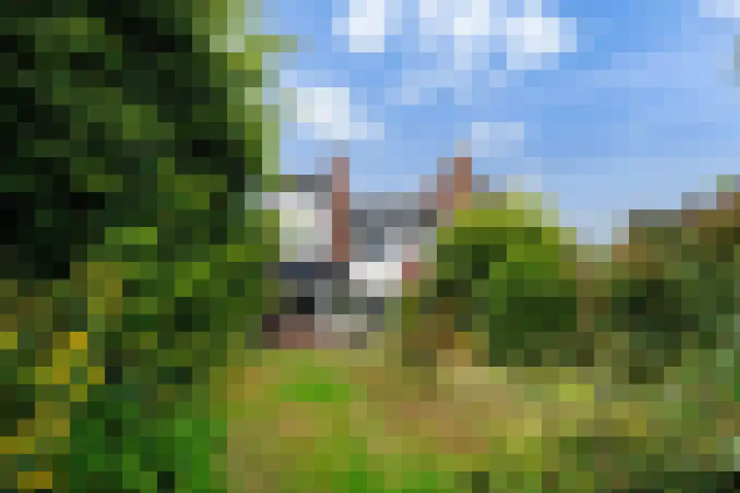 Mannagras 87 Leeuwarden thumbnail 32
