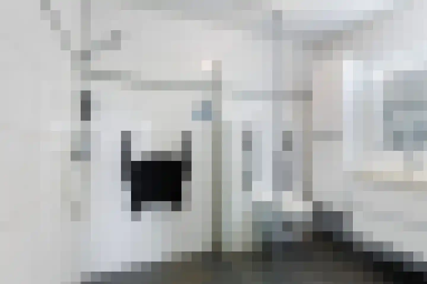 Mannagras 87 Leeuwarden thumbnail 36