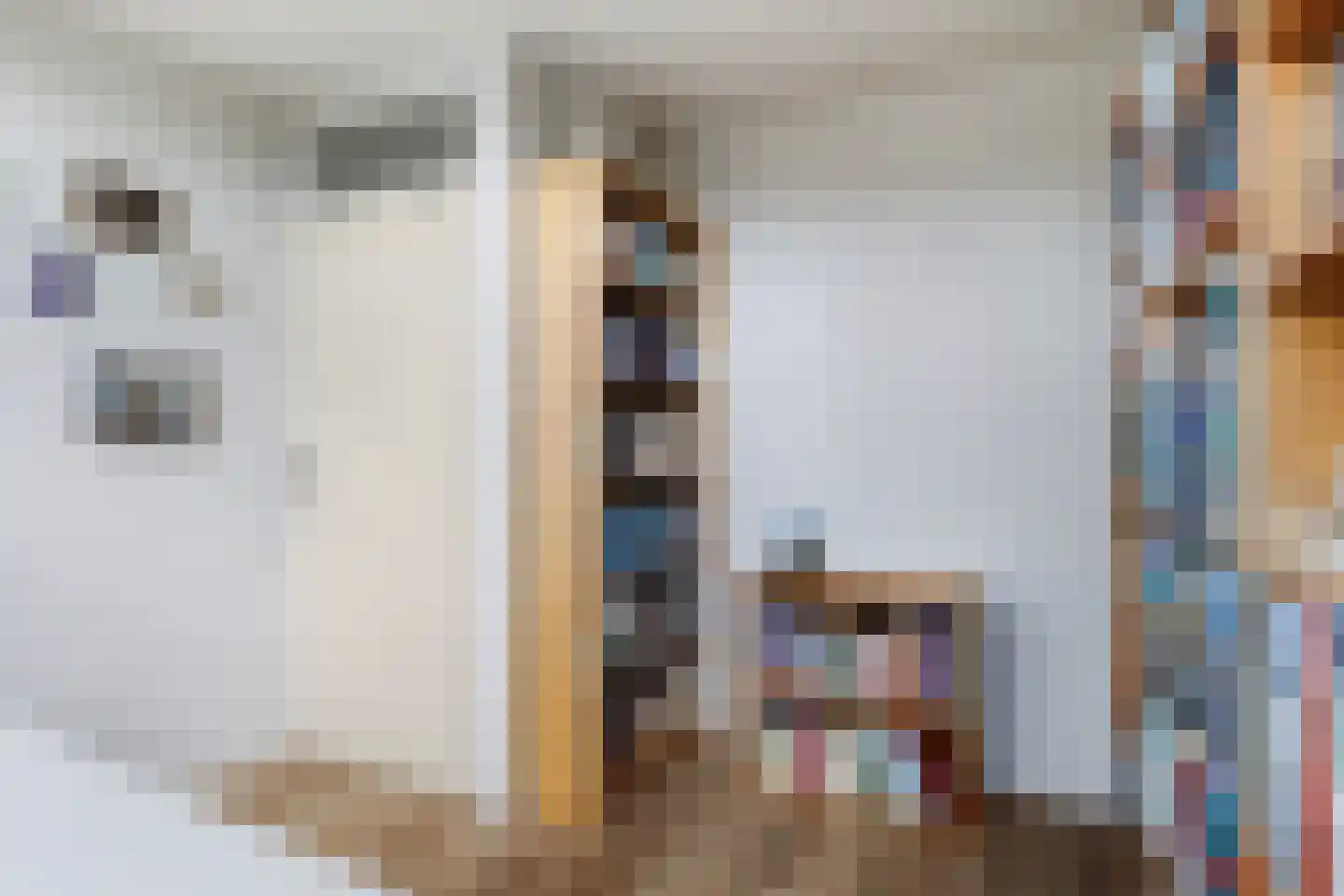 Mannagras 87 Leeuwarden thumbnail 43