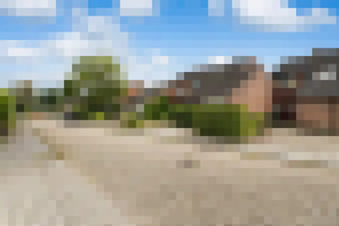 Mannagras 87 Leeuwarden thumbnail 54
