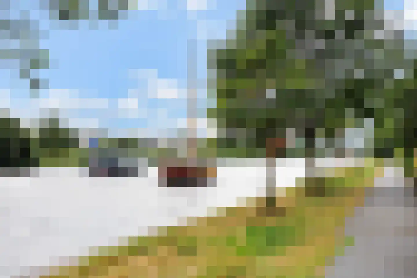 Mannagras 87 Leeuwarden thumbnail 60