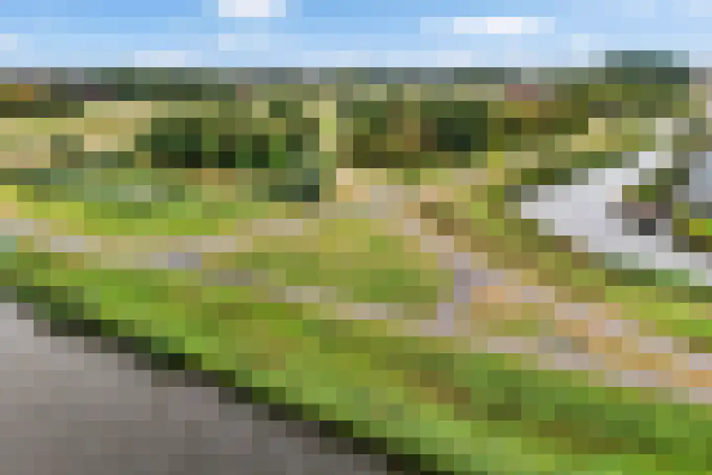 Mannagras 87 Leeuwarden thumbnail 61