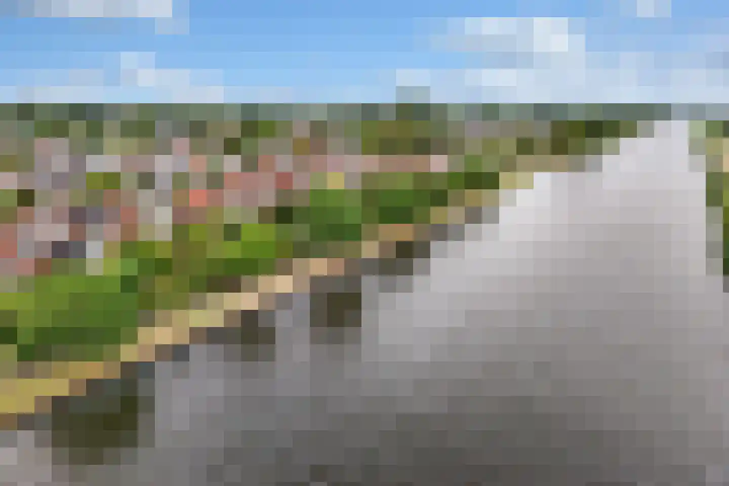 Mannagras 87 Leeuwarden thumbnail 62