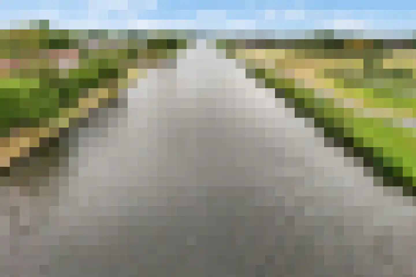 Mannagras 87 Leeuwarden thumbnail 64