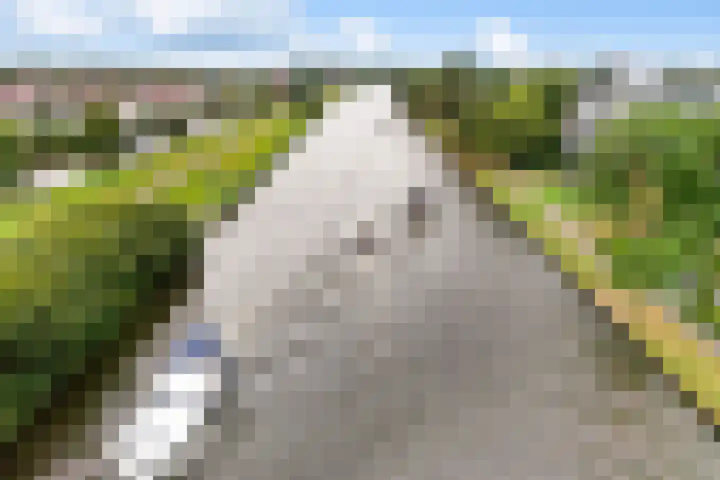 Mannagras 87 Leeuwarden thumbnail 65