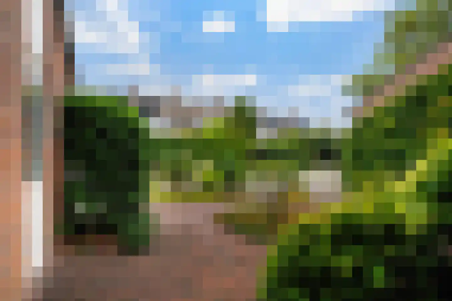 Mannagras 87 Leeuwarden thumbnail 7
