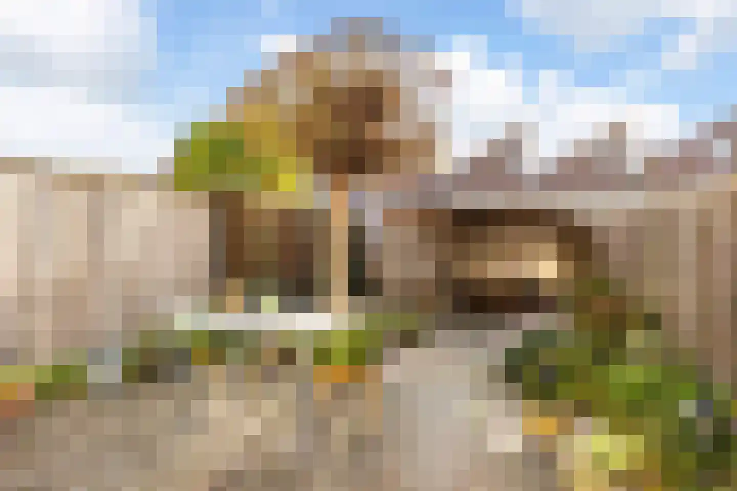Mannagraslaan 4 Enschede thumbnail 22