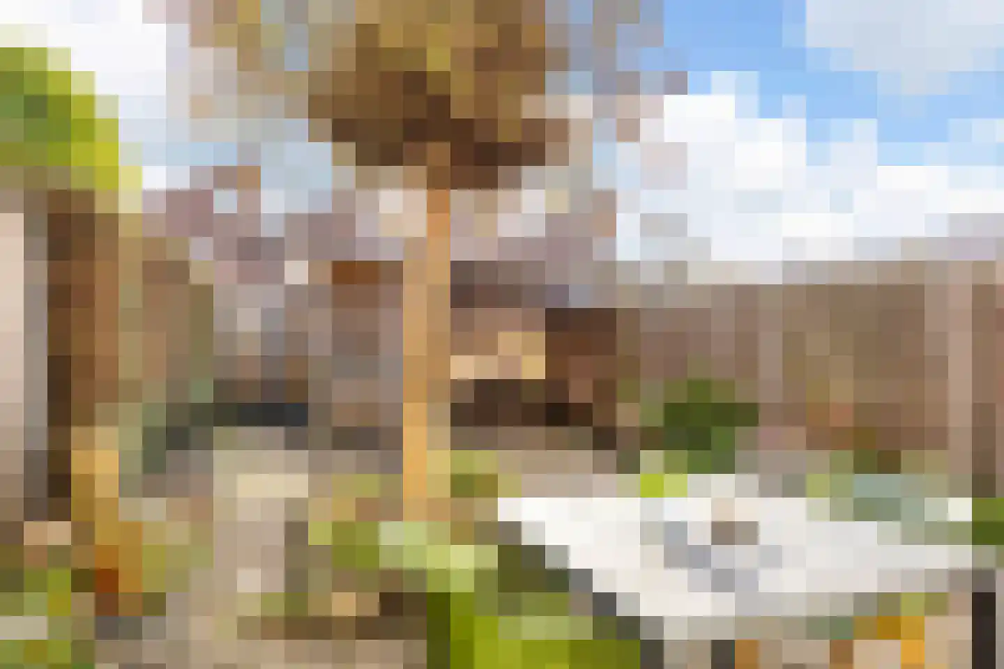 Mannagraslaan 4 Enschede thumbnail 23