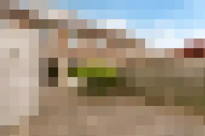 Mannagrasstraat 14 Almere thumbnail 37