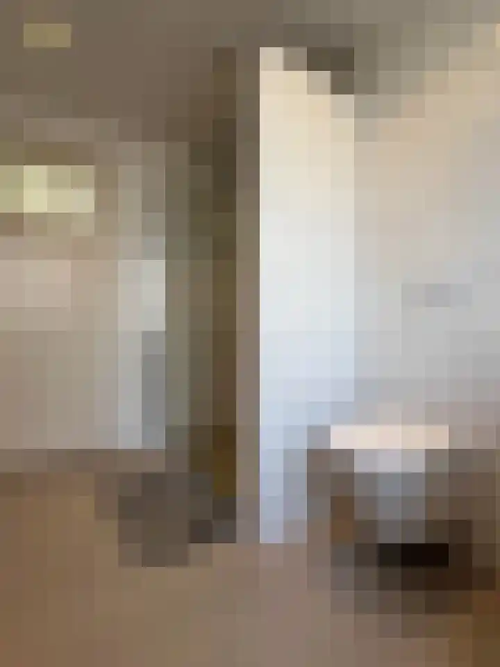 Mannenhuisstraat 17 Montfoort thumbnail 25