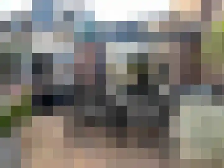 Mannenhuisstraat 17 Montfoort thumbnail 31