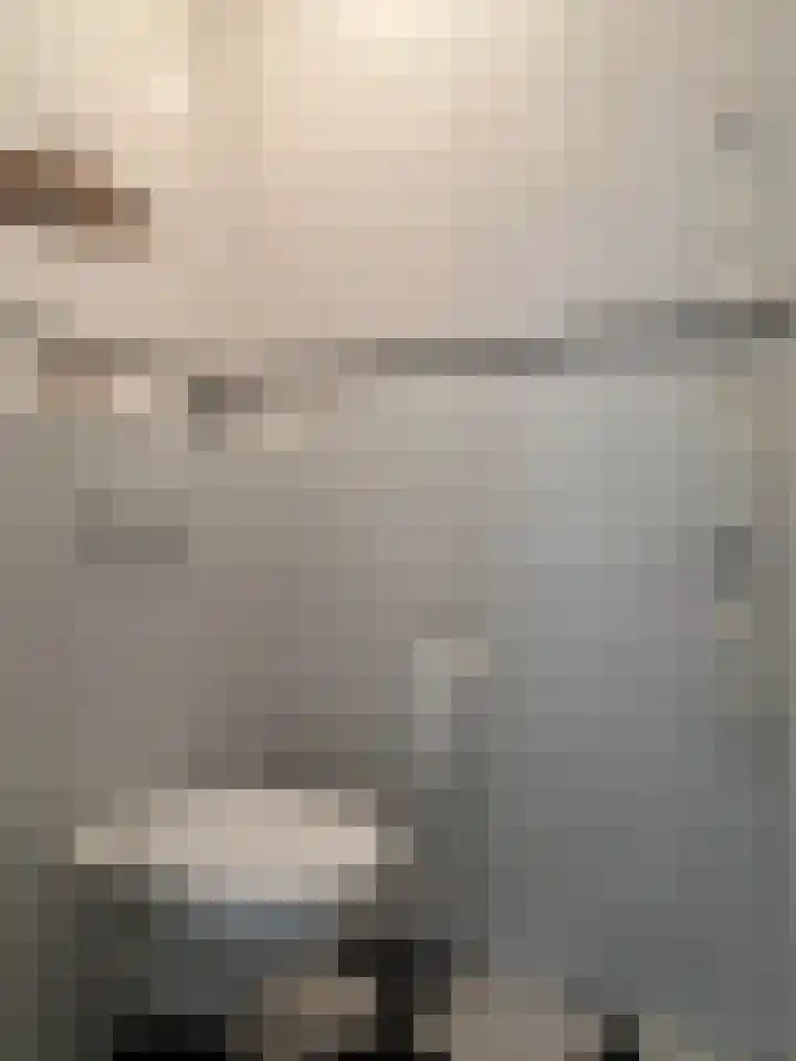 Mannenhuisstraat 17 Montfoort thumbnail 7