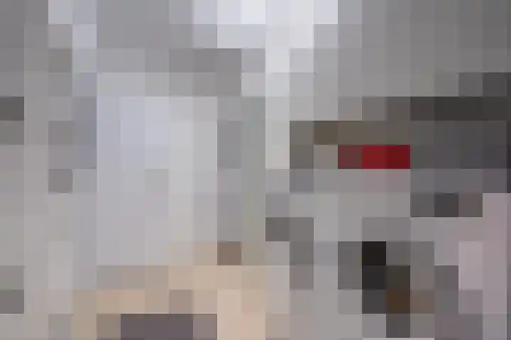 Manningahof 8 Assen thumbnail 27