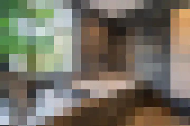 Manningahof 8 Assen thumbnail 37