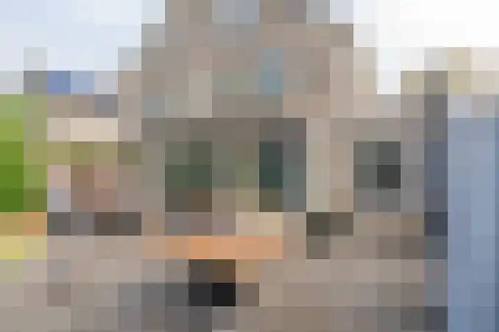 Manningahof 8 Assen thumbnail 45