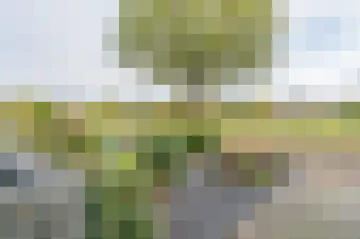 Manningahof 8 Assen thumbnail 9