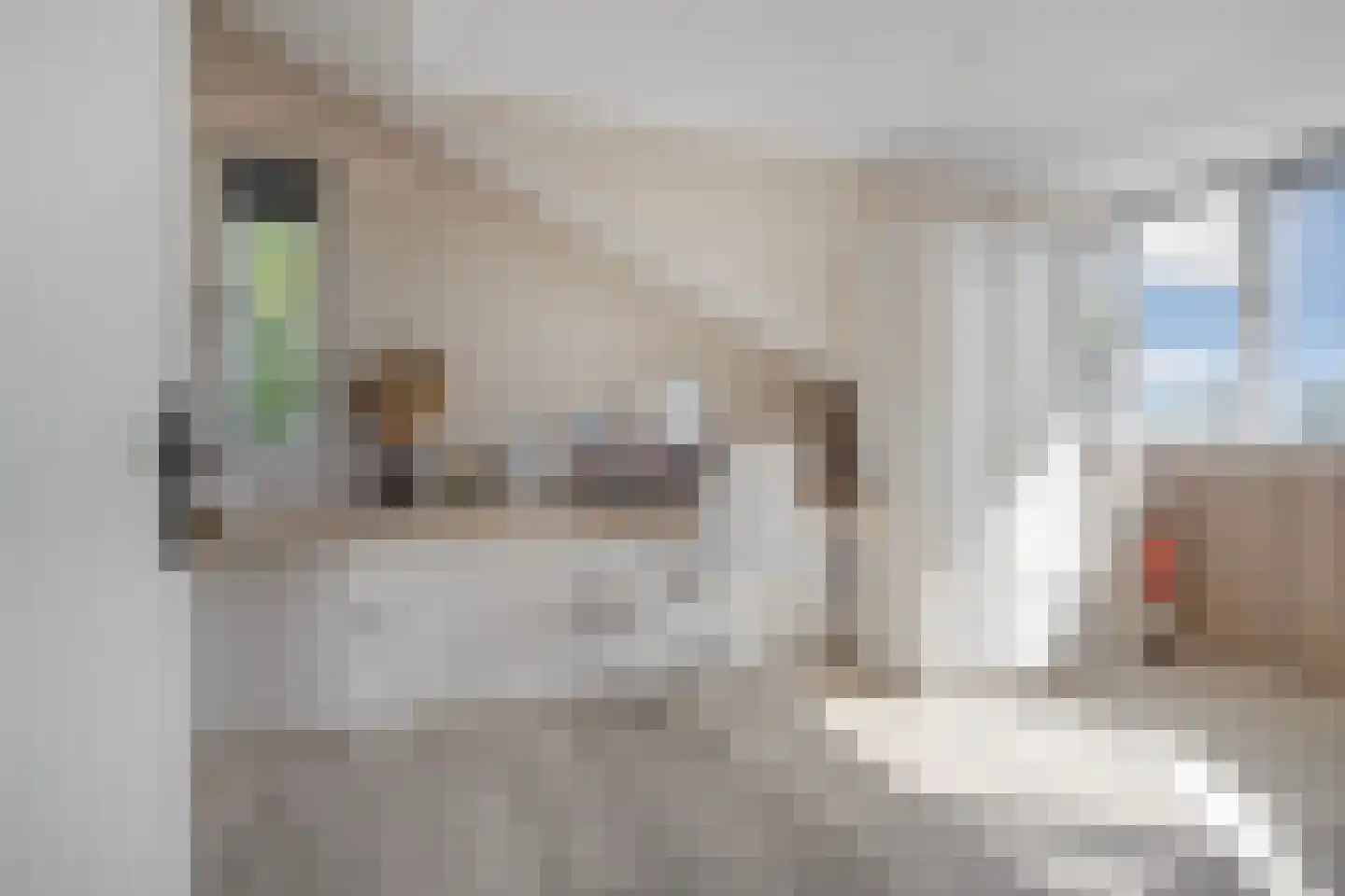 Mannus Frankenstraat 14 Almere thumbnail 34