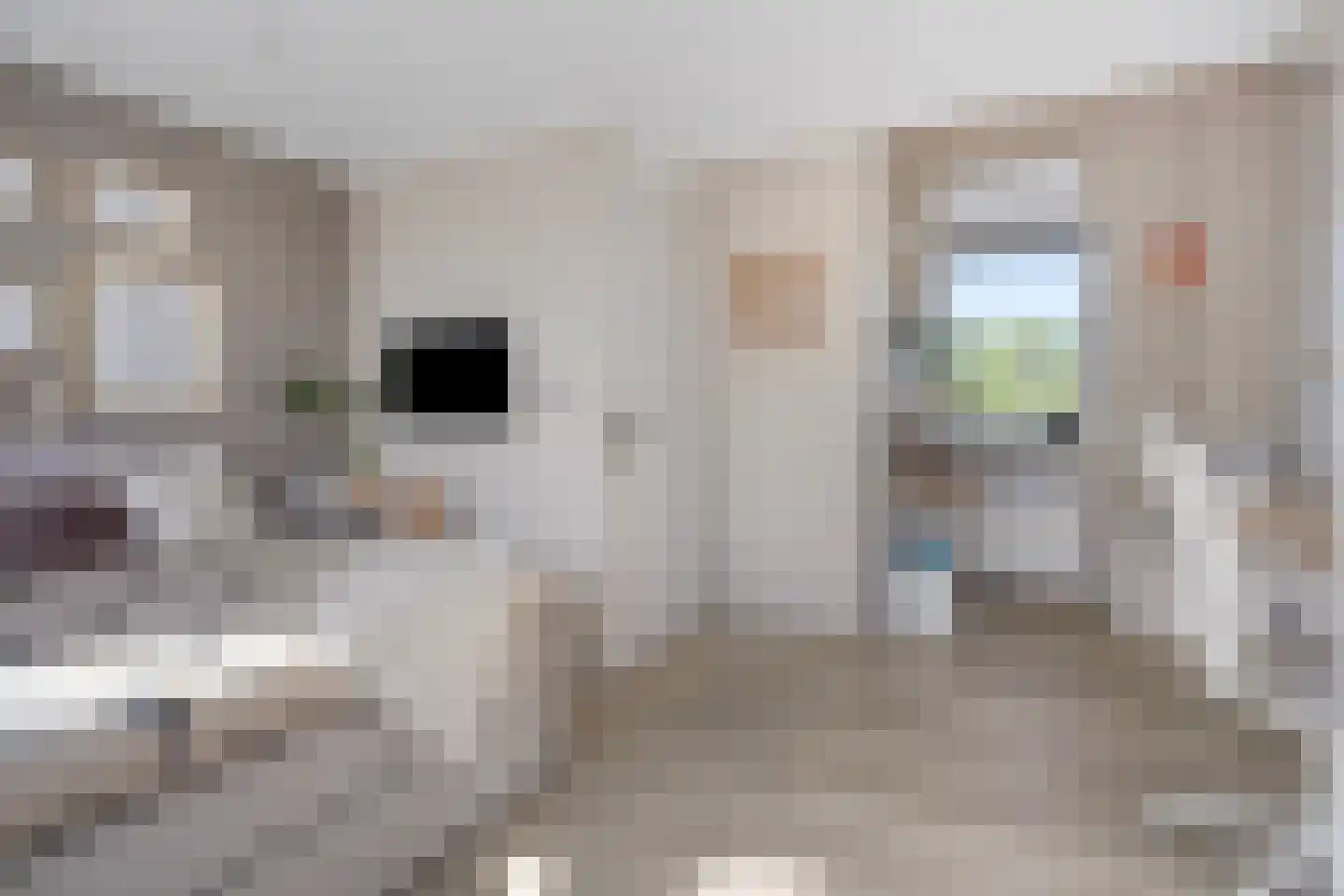 Mannus Frankenstraat 14 Almere thumbnail 35