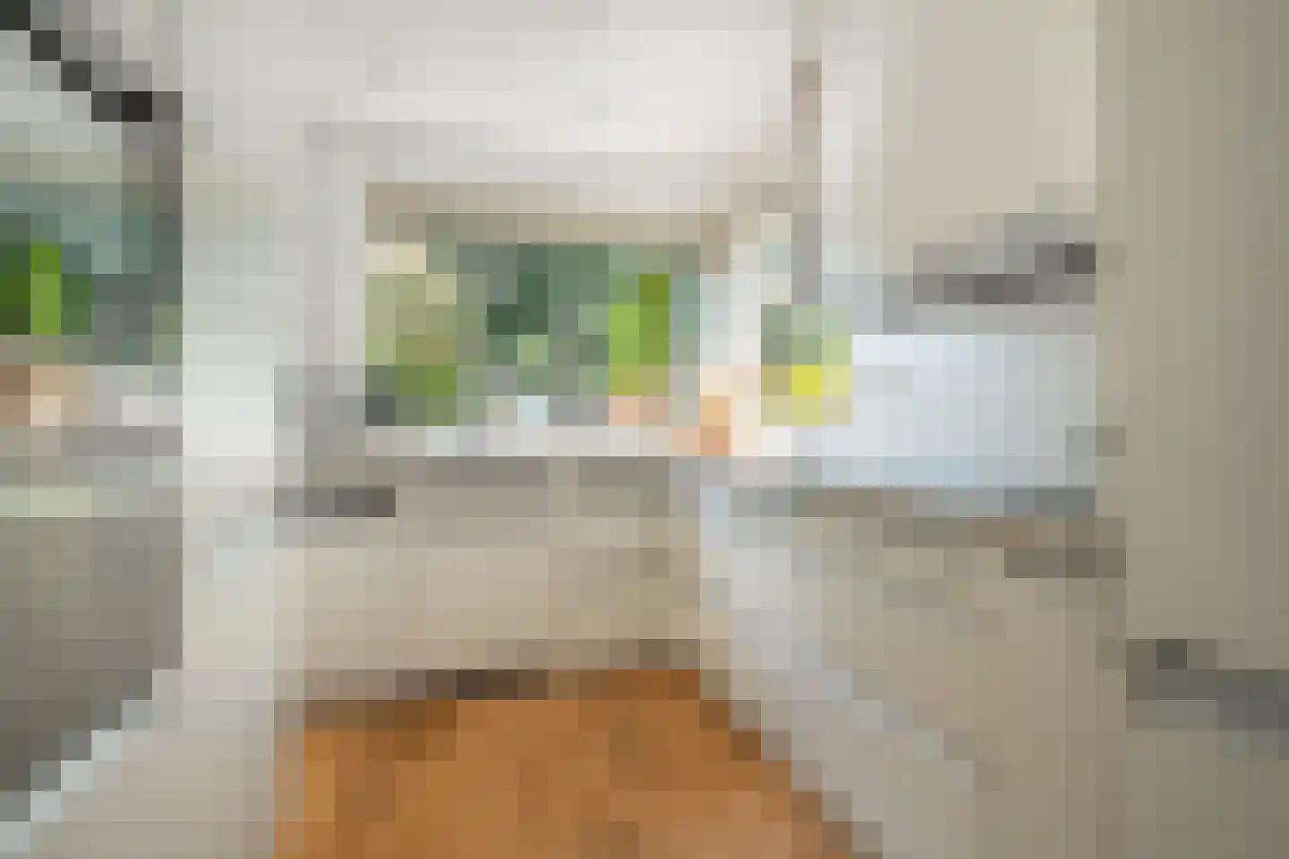 Manonsingel 14 Nieuwegein thumbnail 14