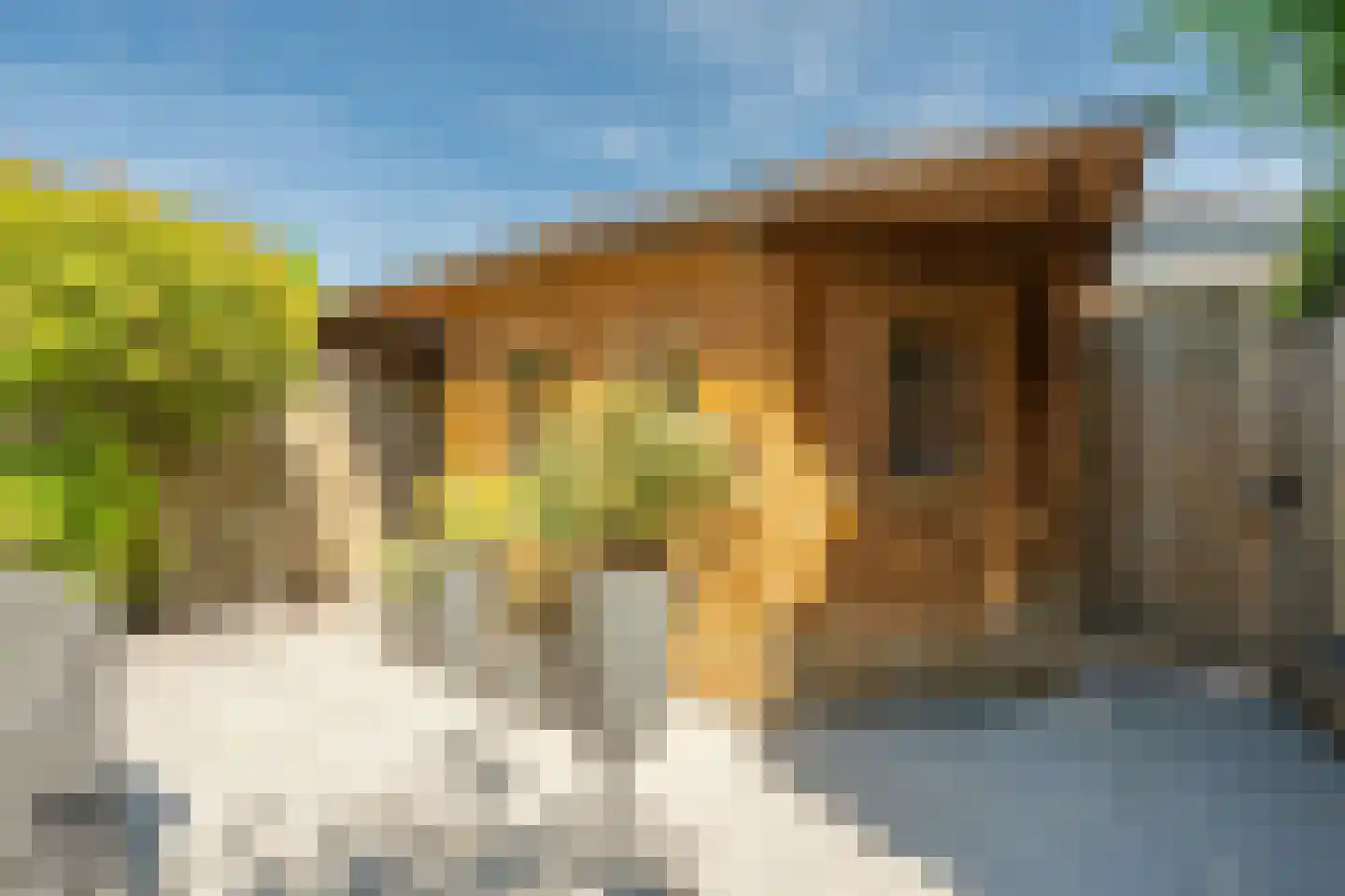 Manonsingel 14 Nieuwegein thumbnail 29