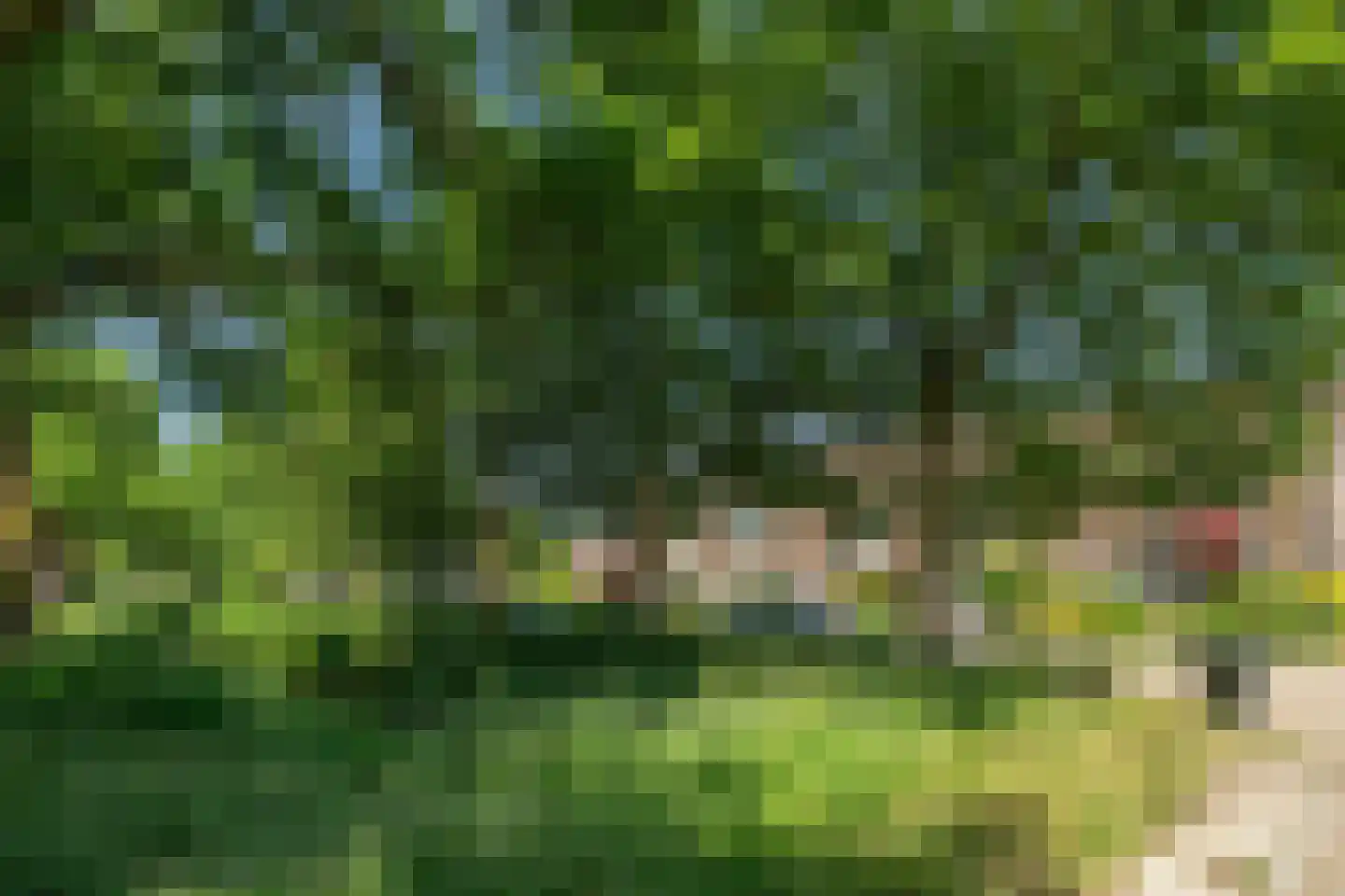 Manonsingel 14 Nieuwegein thumbnail 5