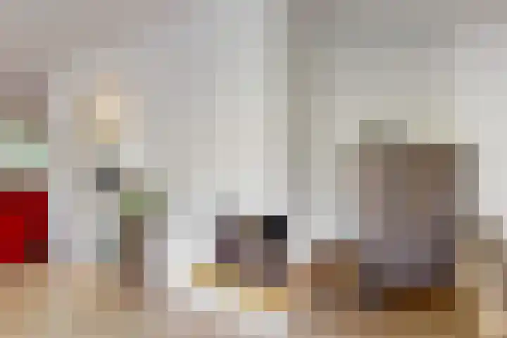Manonsingel 23 Nieuwegein thumbnail 12