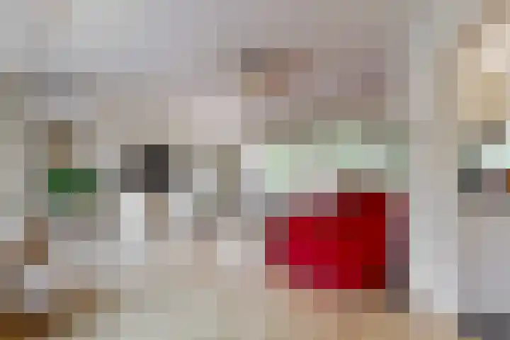 Manonsingel 23 Nieuwegein thumbnail 15