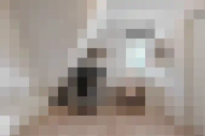 Manonsingel 23 Nieuwegein thumbnail 19