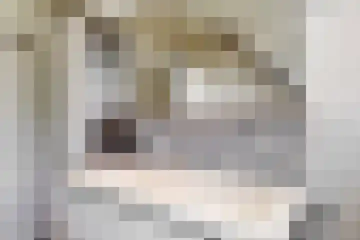 Manonsingel 23 Nieuwegein thumbnail 27