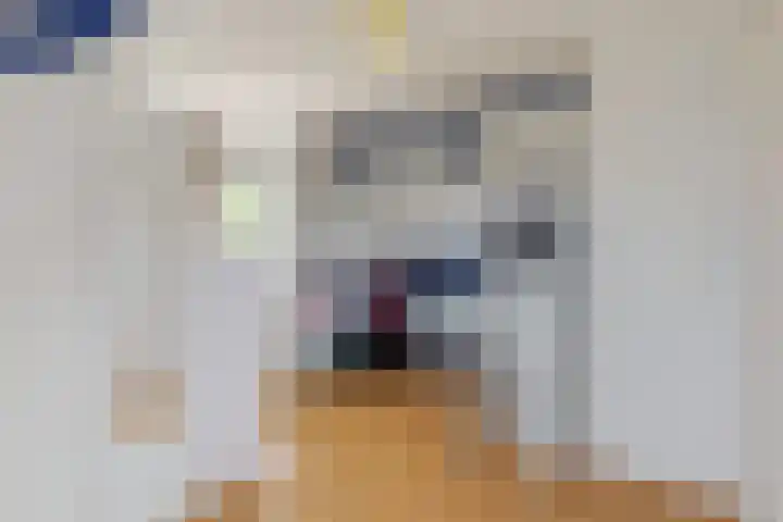 Manonsingel 23 Nieuwegein thumbnail 31