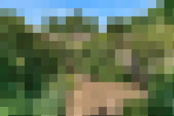 Manonsingel 23 Nieuwegein thumbnail 39