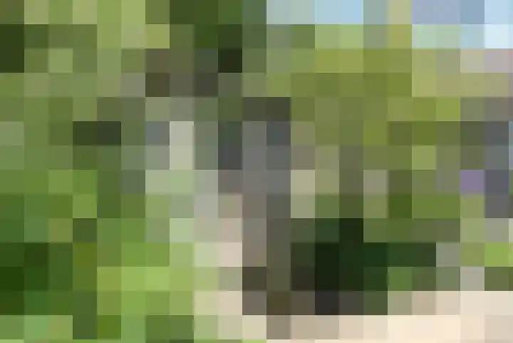 Manonsingel 23 Nieuwegein thumbnail 41