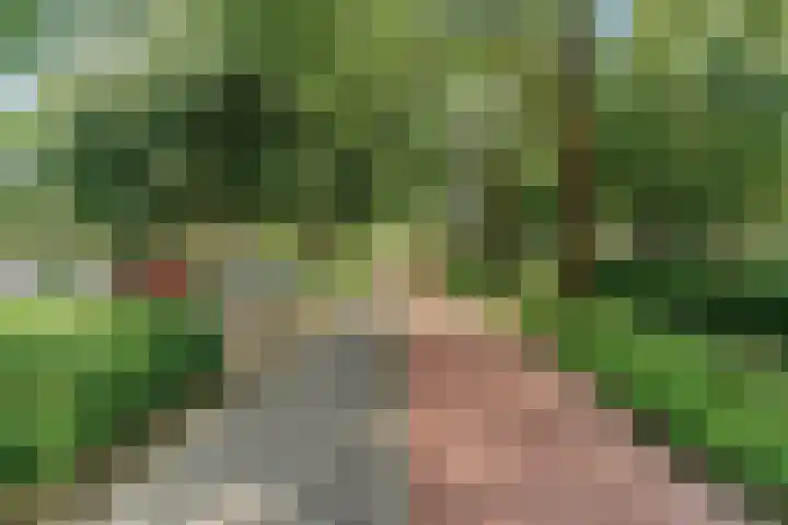 Manonsingel 23 Nieuwegein thumbnail 47