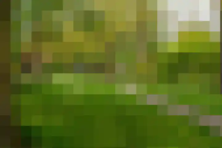 Manonsingel 23 Nieuwegein thumbnail 48