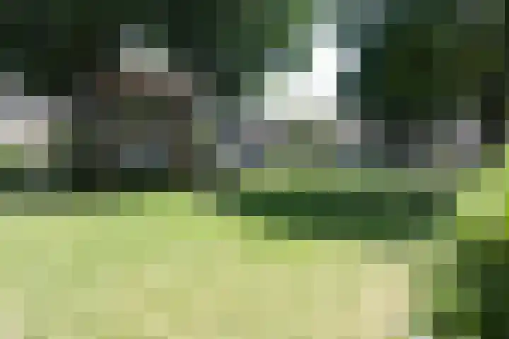 Manonsingel 23 Nieuwegein thumbnail 50