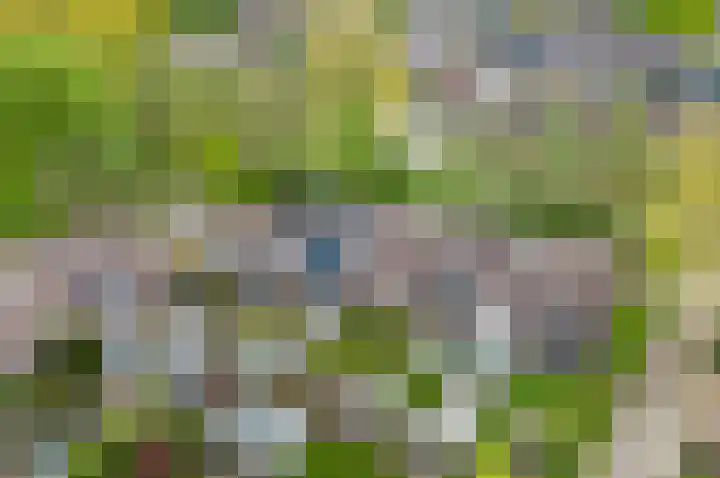 Manonsingel 23 Nieuwegein thumbnail 52