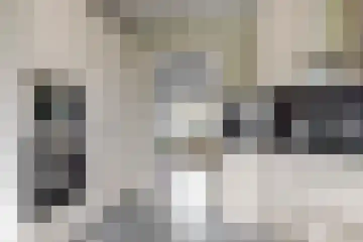 Manonsingel 23 Nieuwegein thumbnail 6