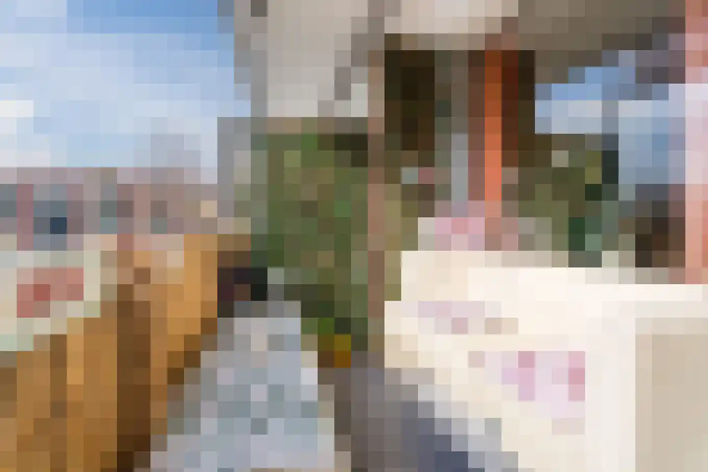 Manonstraat 64 Hoogvliet Rotterdam thumbnail 4