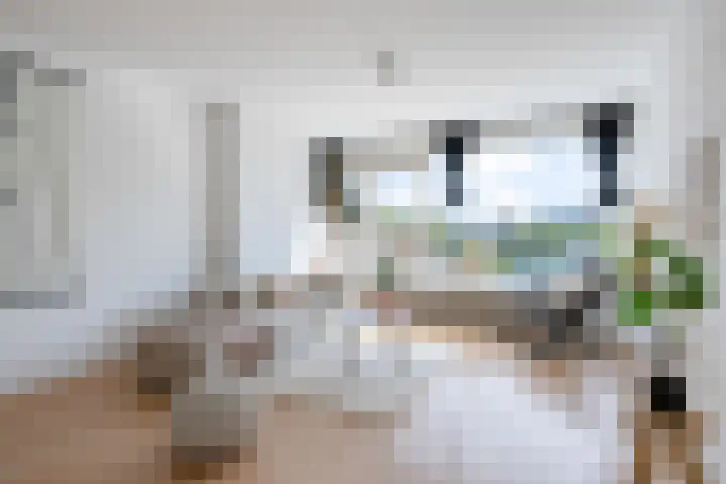 Manonstraat 72 Hoogvliet Rotterdam thumbnail 23