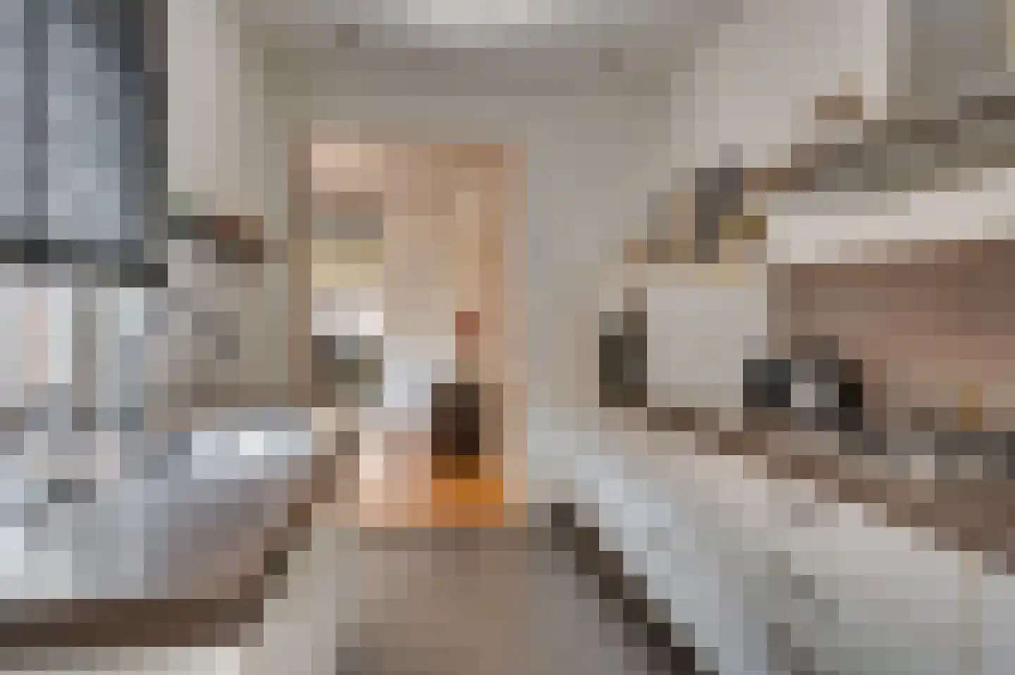 Manresastraat 28 Venlo thumbnail 18