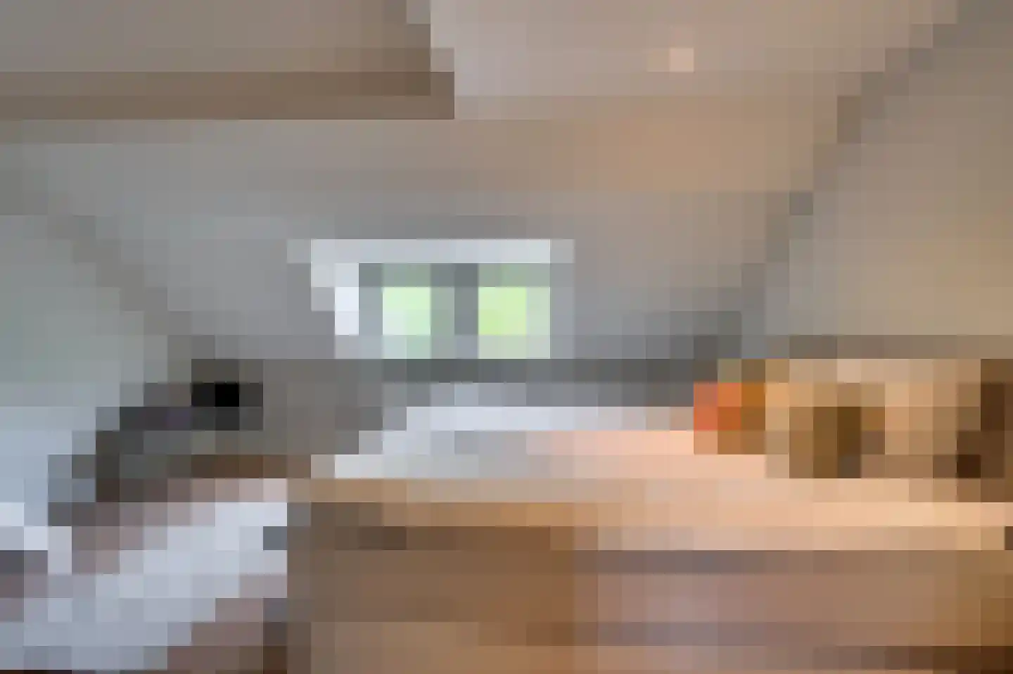 Manresastraat 28 Venlo thumbnail 41