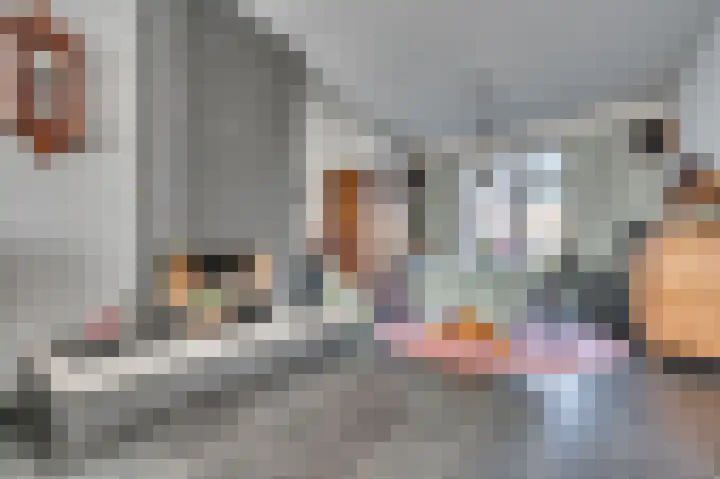 Manresastraat 35 Venlo thumbnail 10