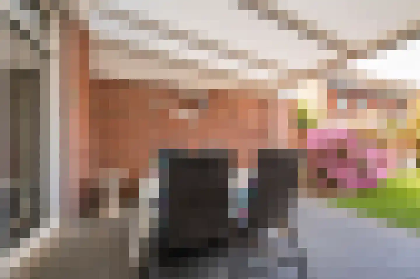 Manresastraat 35 Venlo thumbnail 37