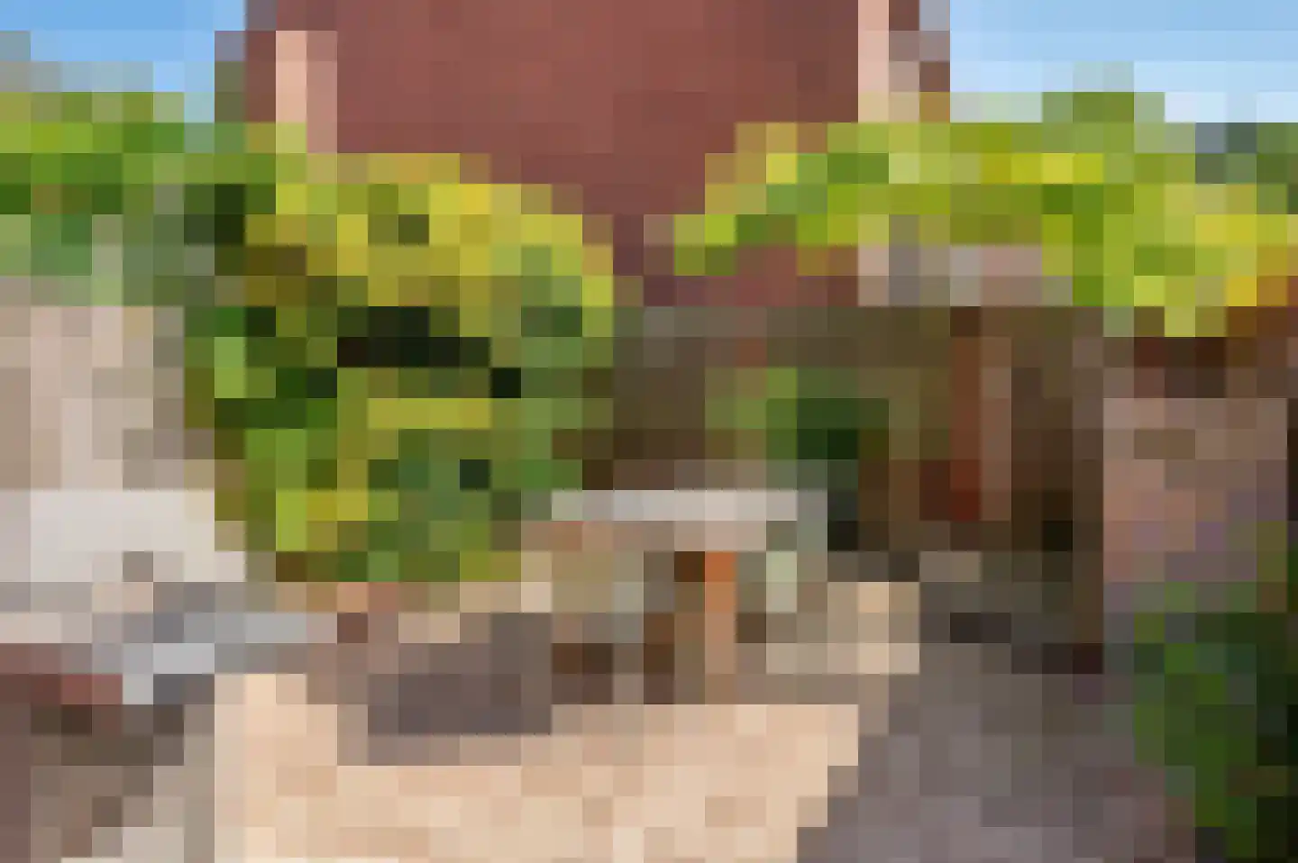 Manresastraat 40 Venlo thumbnail 48