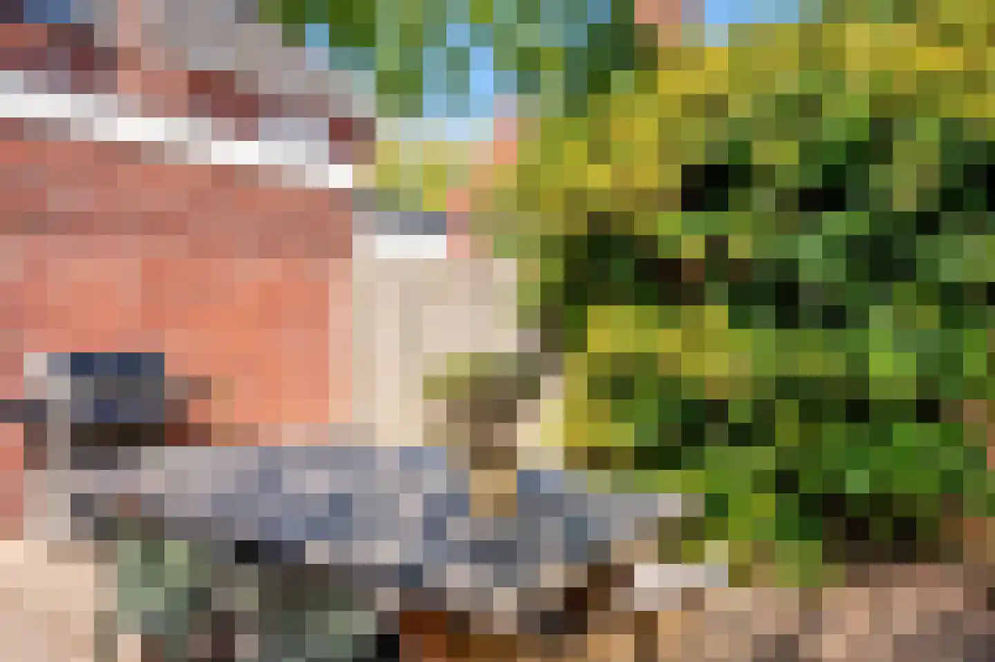 Manresastraat 40 Venlo thumbnail 50