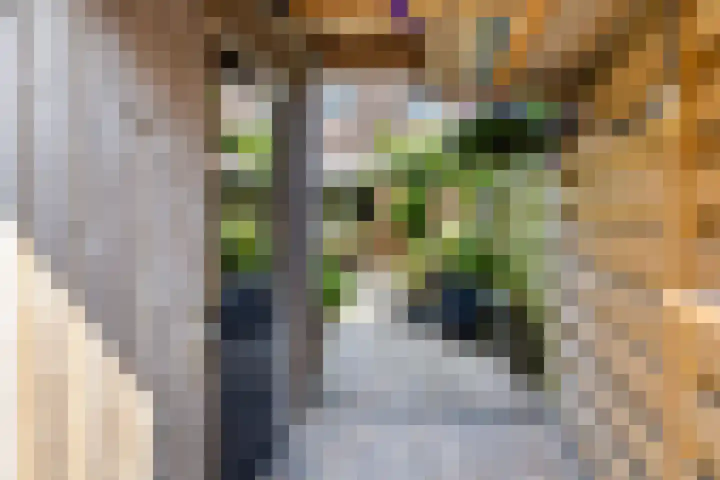 Mansardehof 17 Apeldoorn thumbnail 15