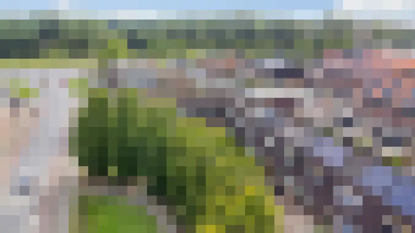 Mansardehof 17 Apeldoorn thumbnail 35