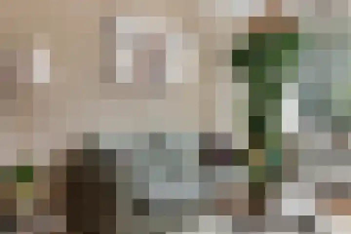 Mansardehof 19 Apeldoorn thumbnail 12