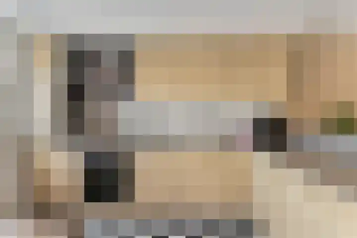 Mansardehof 19 Apeldoorn thumbnail 16