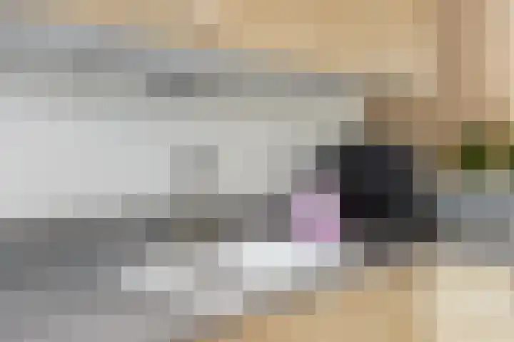 Mansardehof 19 Apeldoorn thumbnail 17